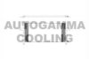 AUTOGAMMA 103812 Condenser, air conditioning